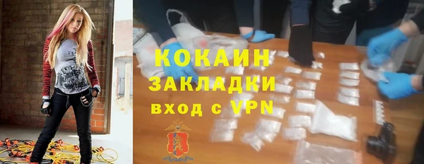 прущие грибы Богородицк