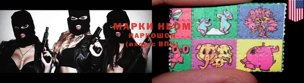 прущие грибы Богородицк