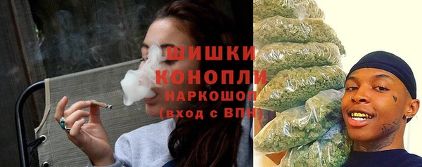 прущие грибы Богородицк